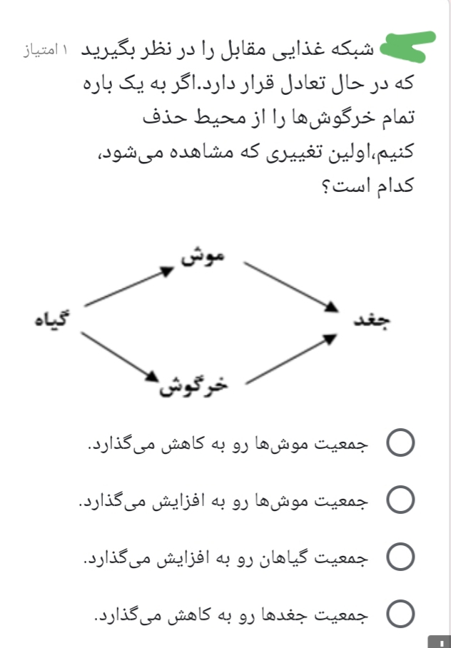 دریافت سوال 13