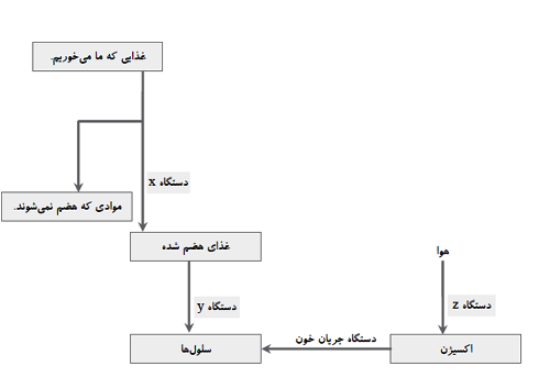 دریافت سوال 2