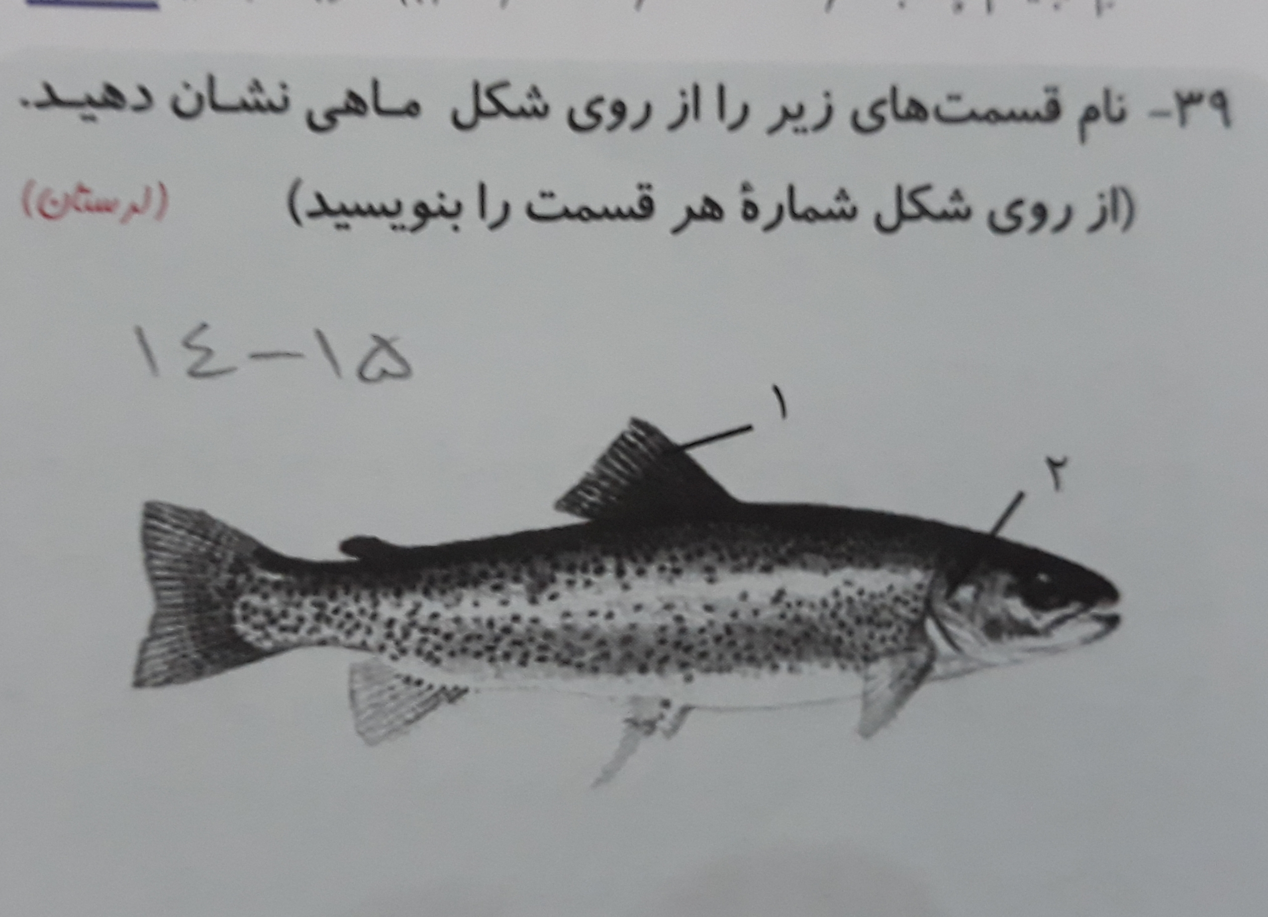 دریافت سوال 1