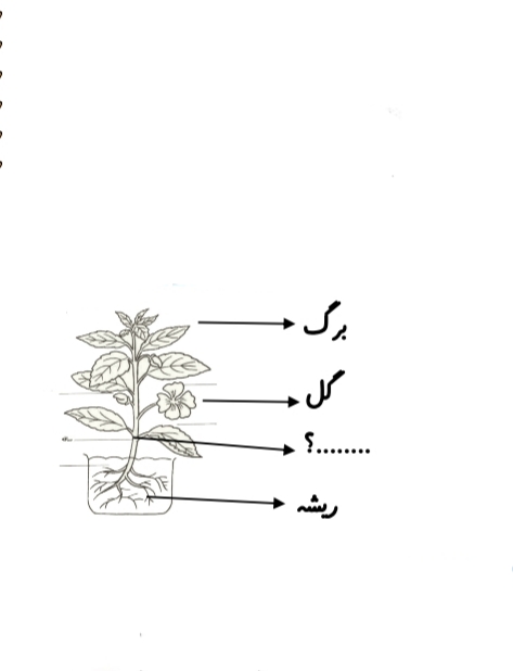 دریافت سوال 2