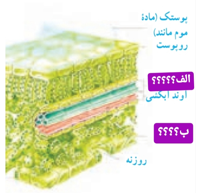 دریافت سوال 9