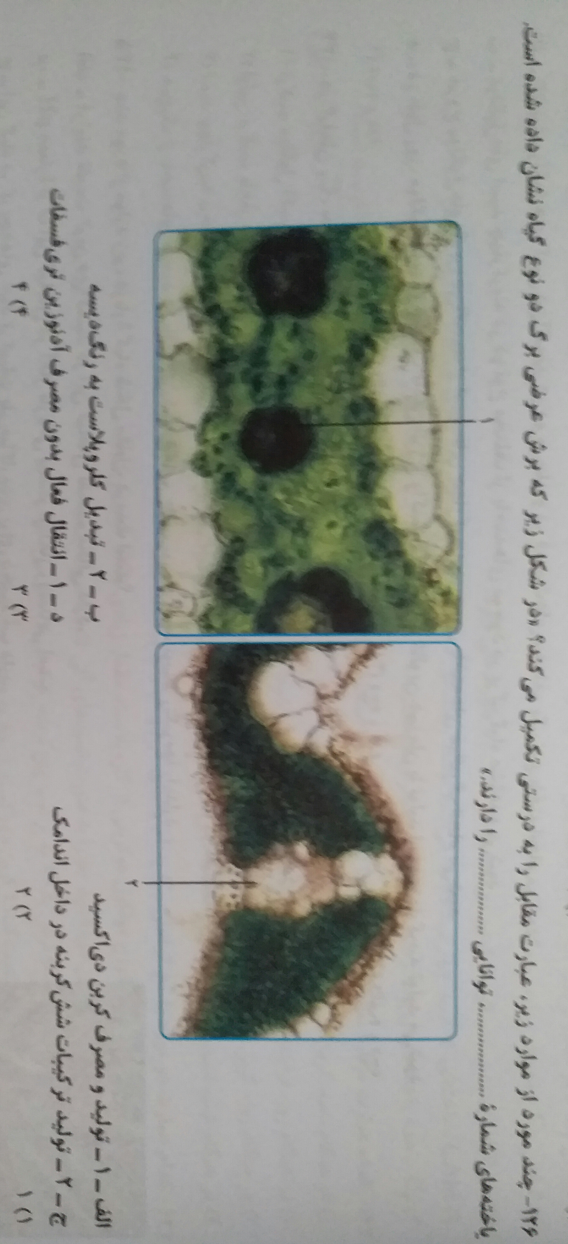 دریافت سوال 10