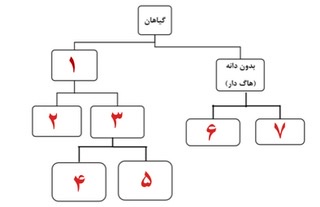 دریافت سوال 3