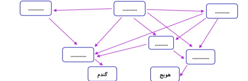 دریافت سوال 22