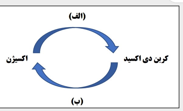 دریافت سوال 15