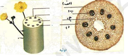 دریافت سوال 11