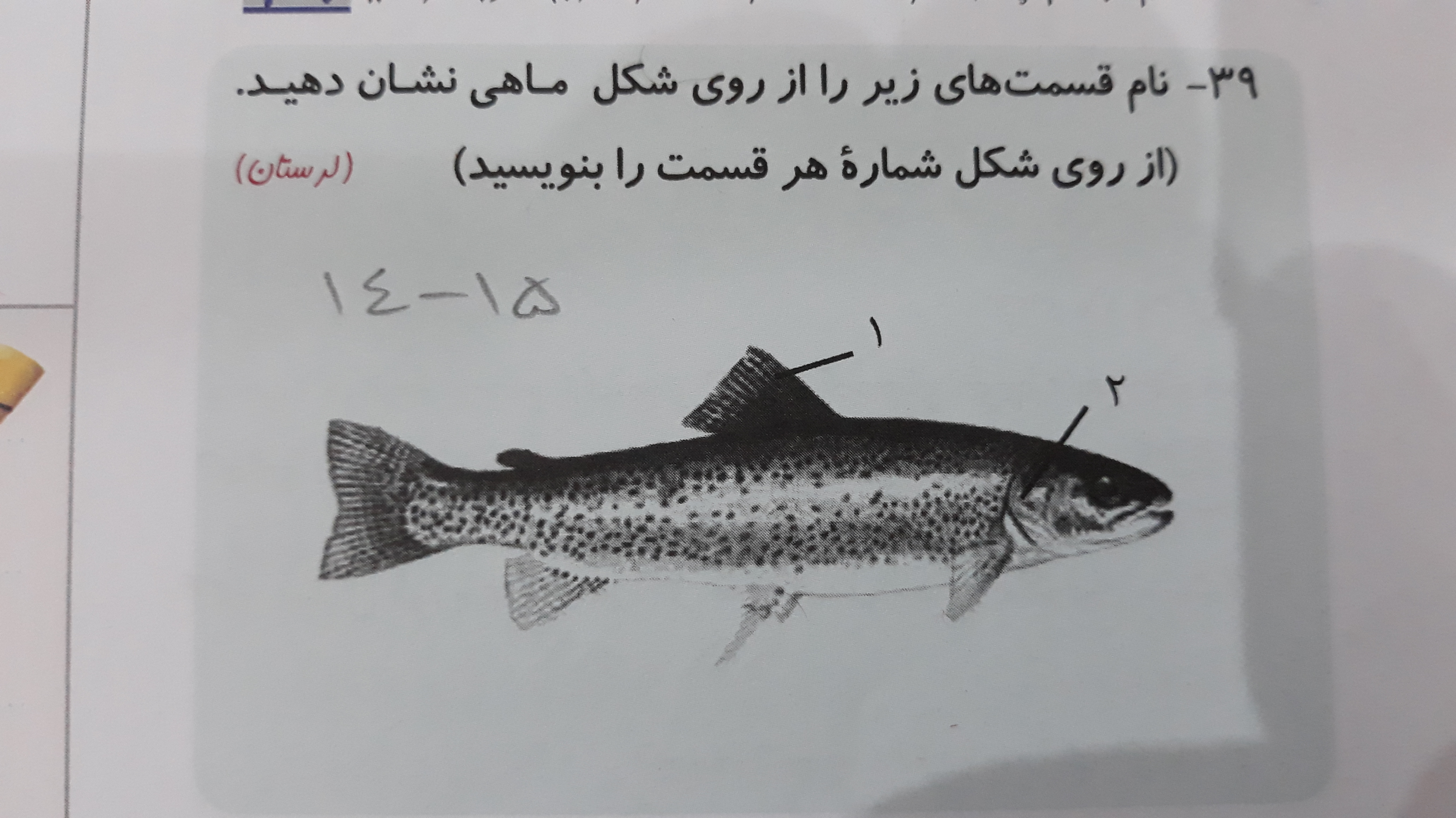 دریافت سوال 16