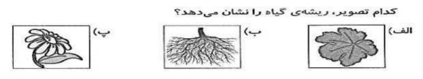 دریافت سوال 5