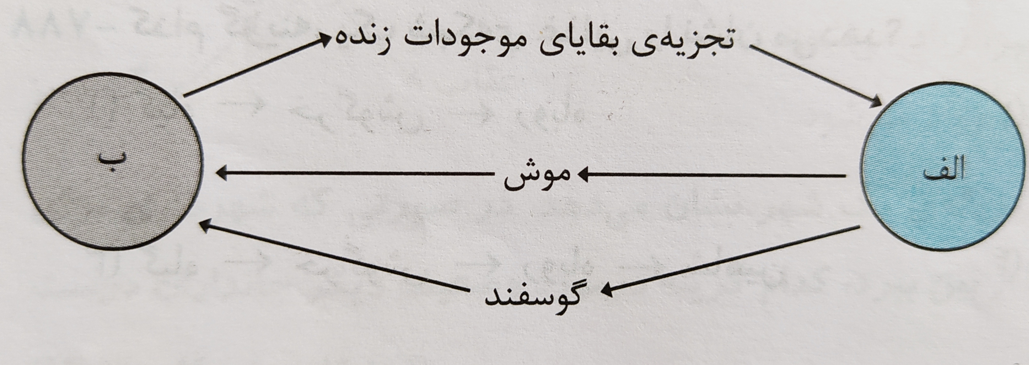 دریافت سوال 12