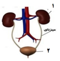 دریافت سوال 28