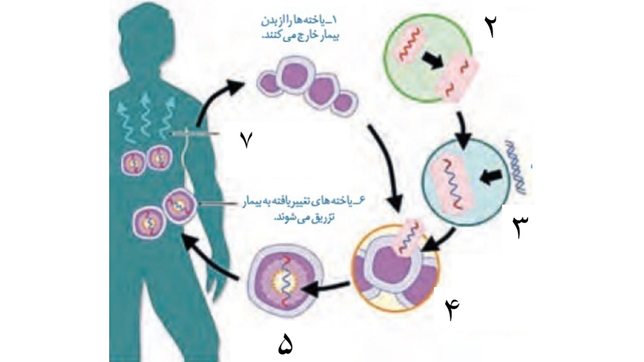 دریافت سوال 17