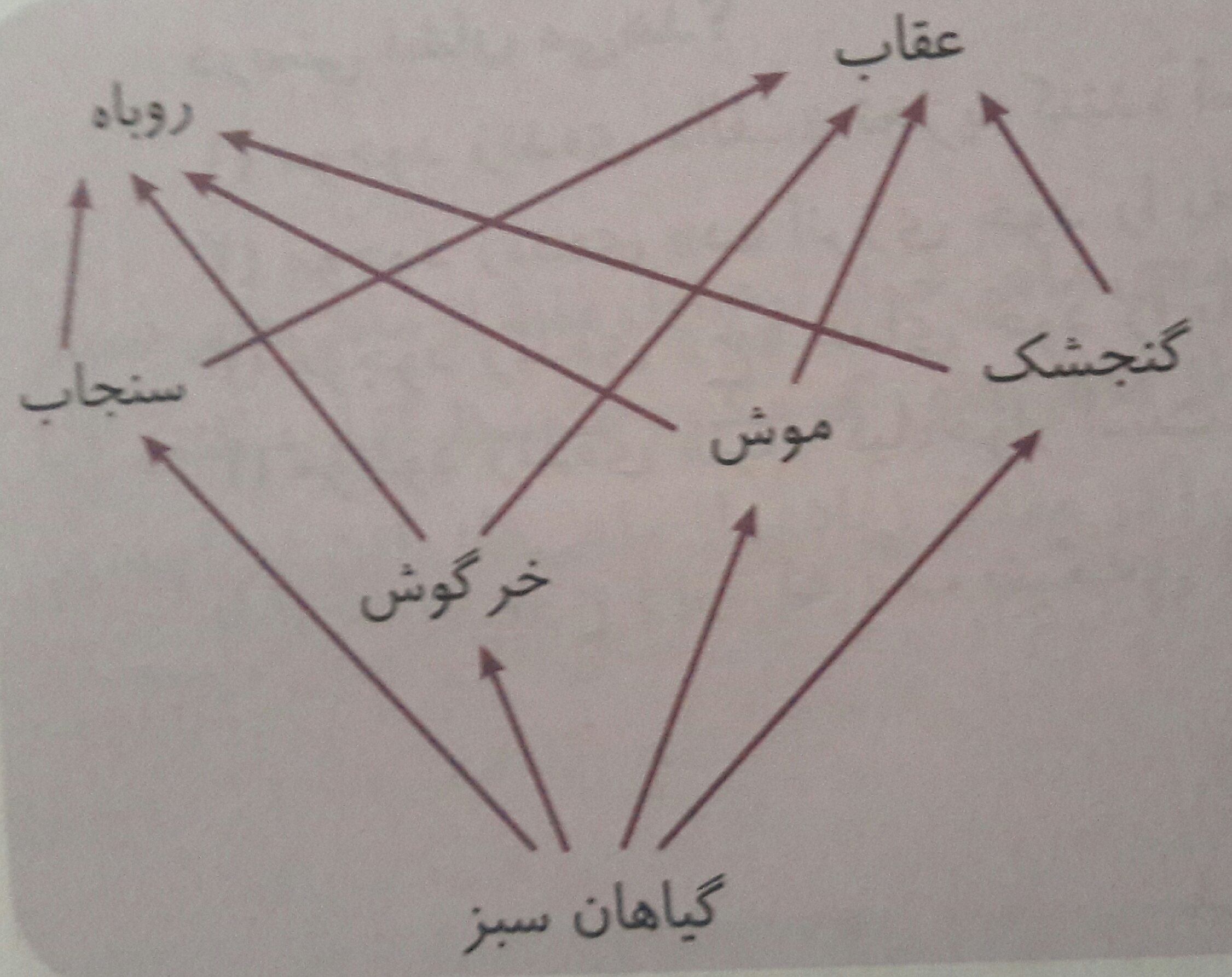 دریافت سوال 29