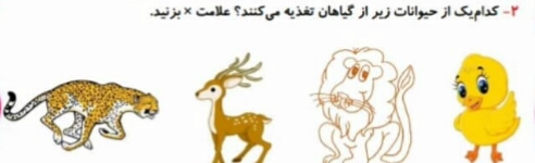 دریافت سوال 7