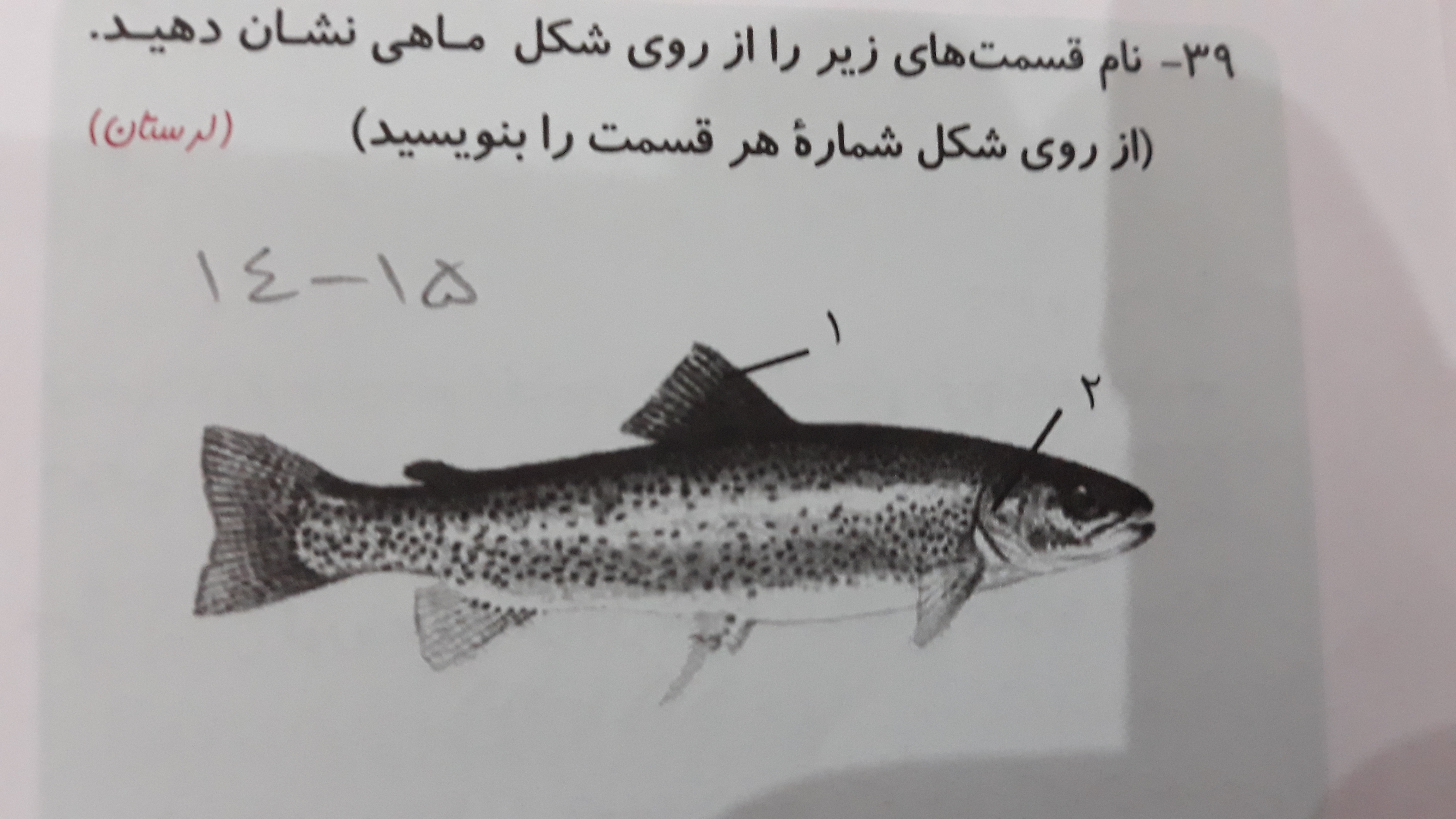 دریافت سوال 14