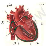 دریافت سوال 17