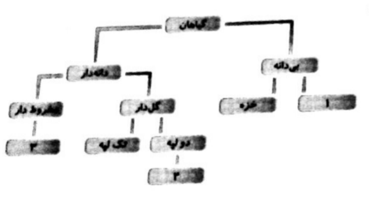 دریافت سوال 12