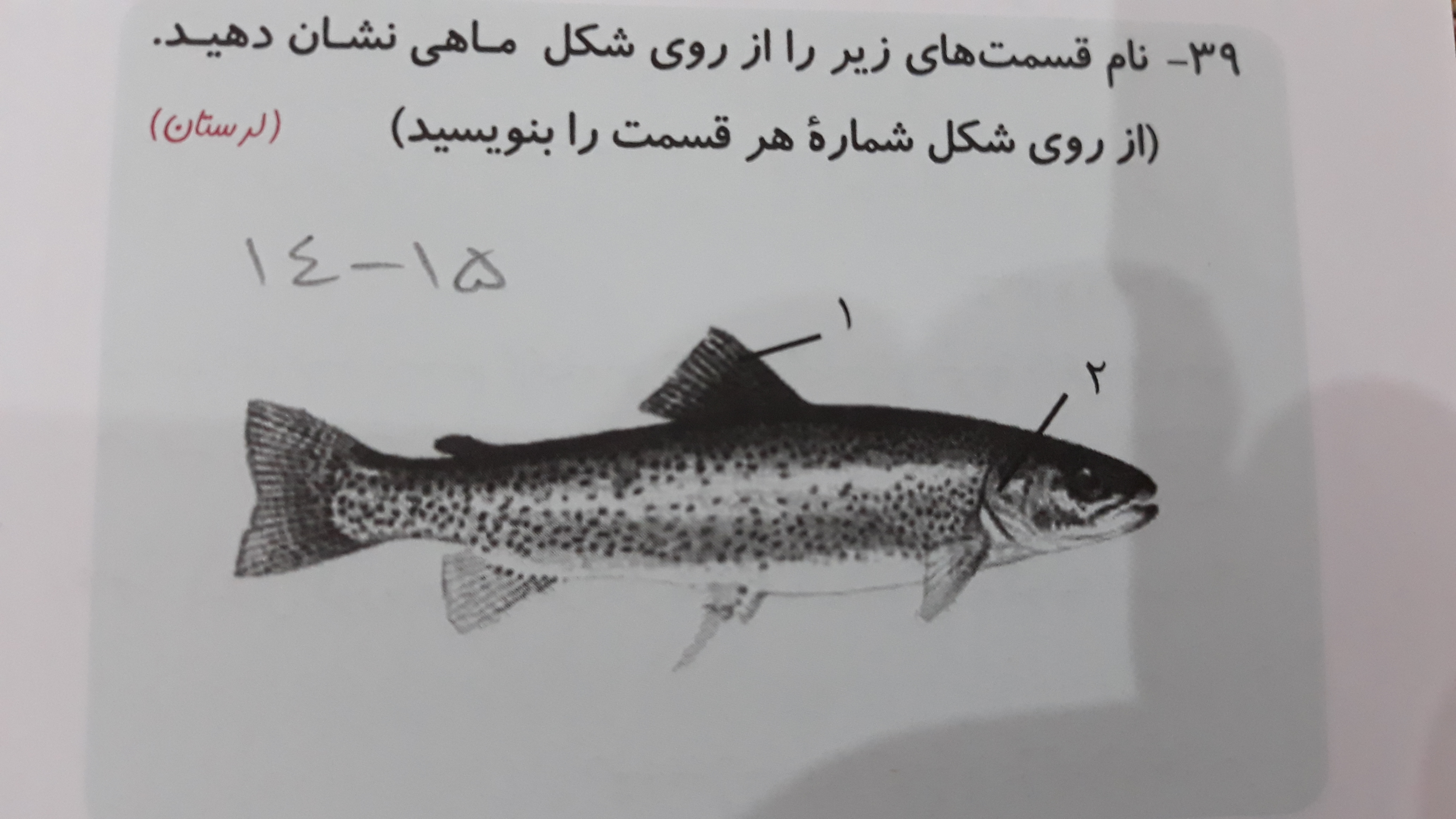 دریافت سوال 18