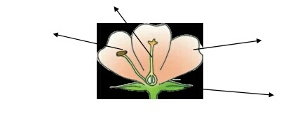 دریافت سوال 14