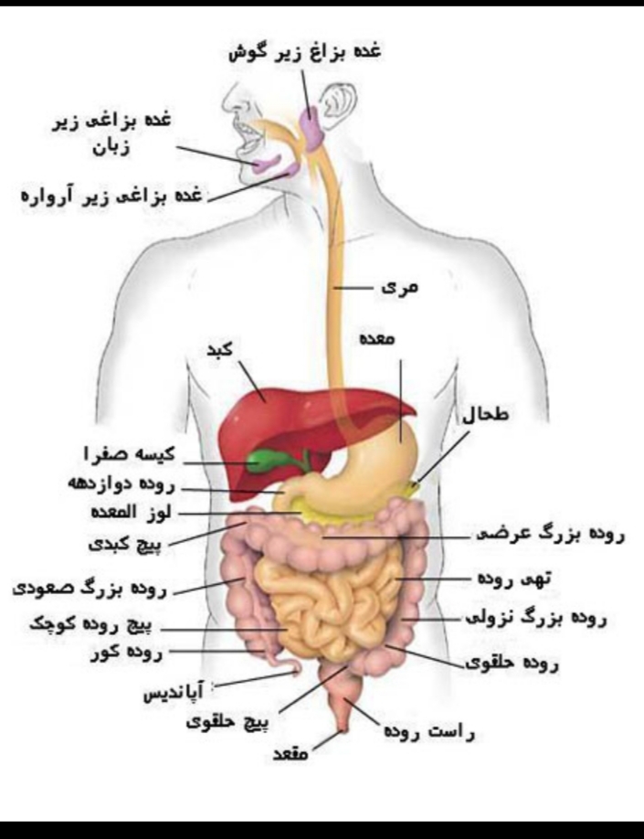 دریافت سوال 1