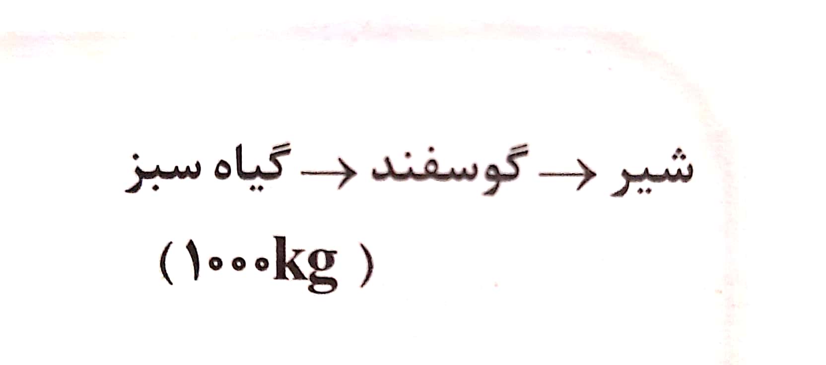 دریافت سوال 13