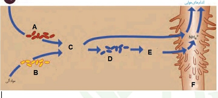 دریافت سوال 17