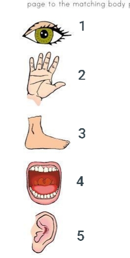 دریافت سوال 10