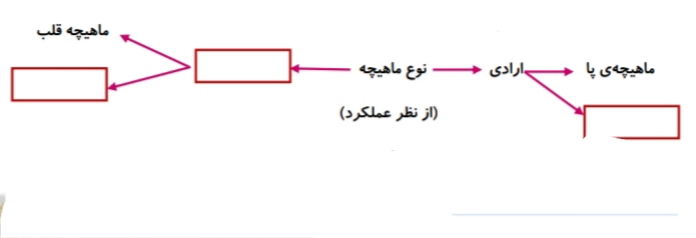 دریافت سوال 17