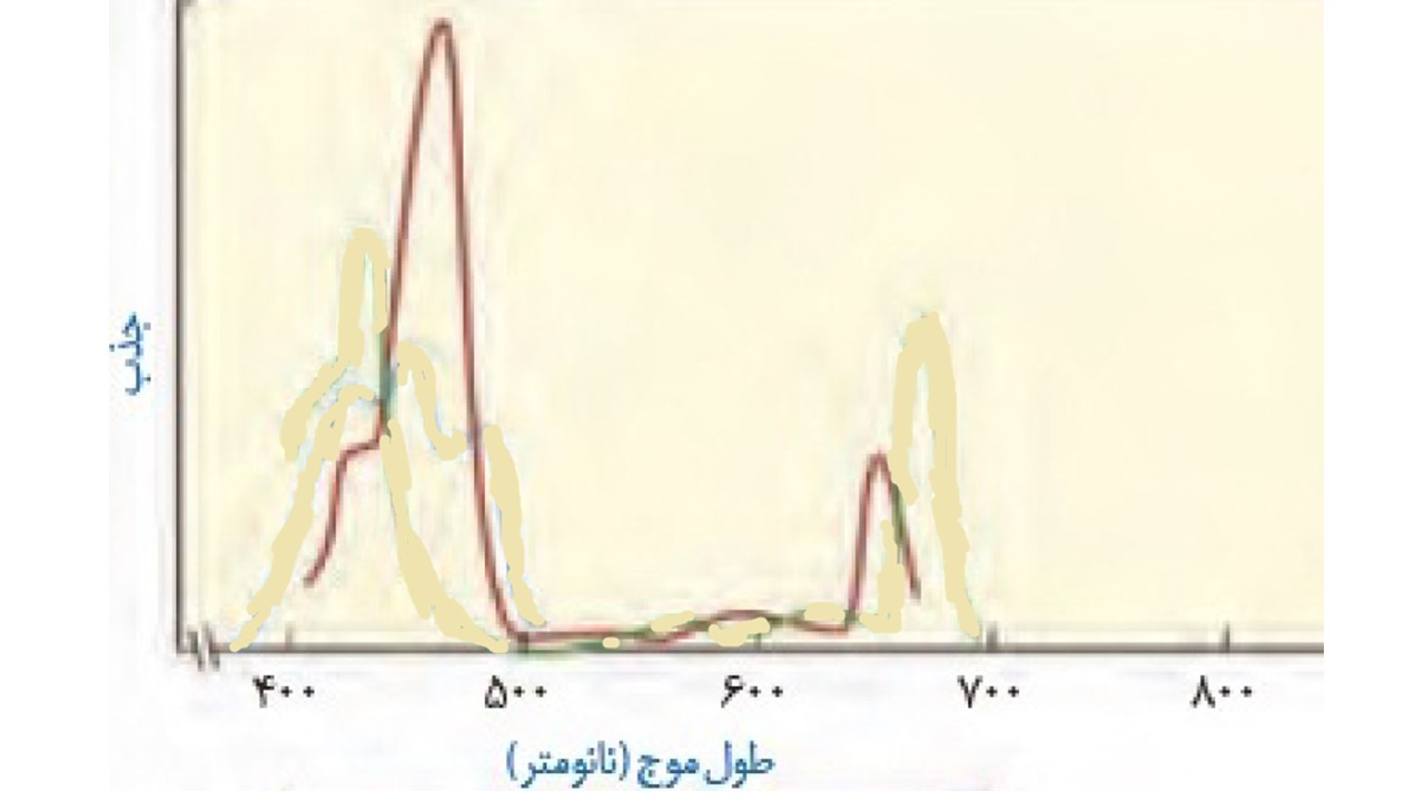 دریافت سوال 12