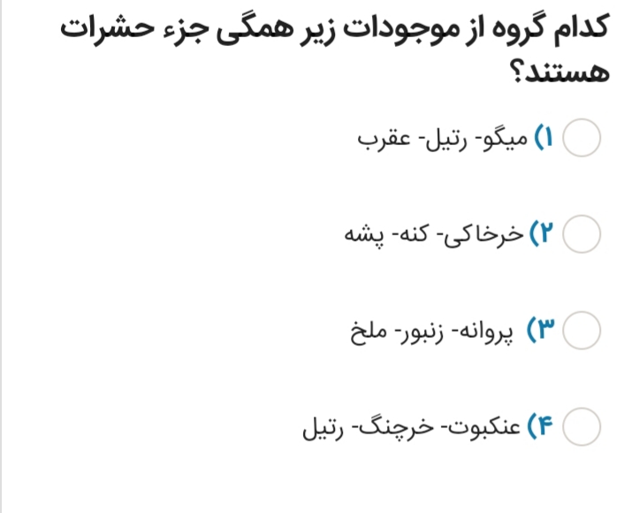 دریافت سوال 11