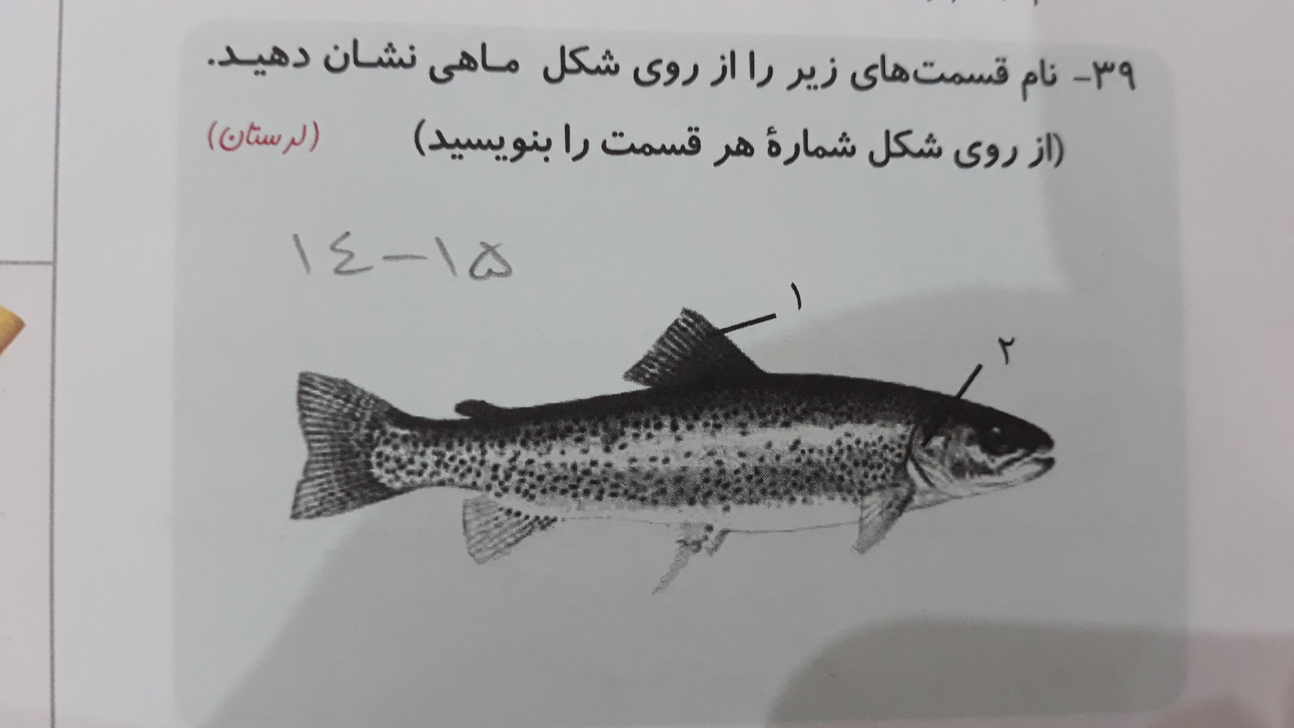 دریافت سوال 18