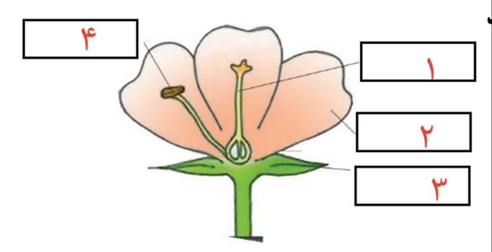 دریافت سوال 24