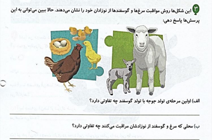 دریافت سوال 2