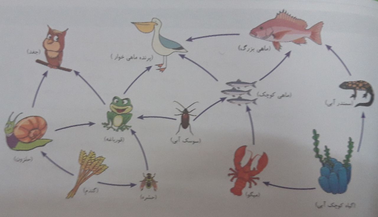 دریافت سوال 17