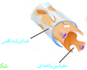 دریافت سوال 8