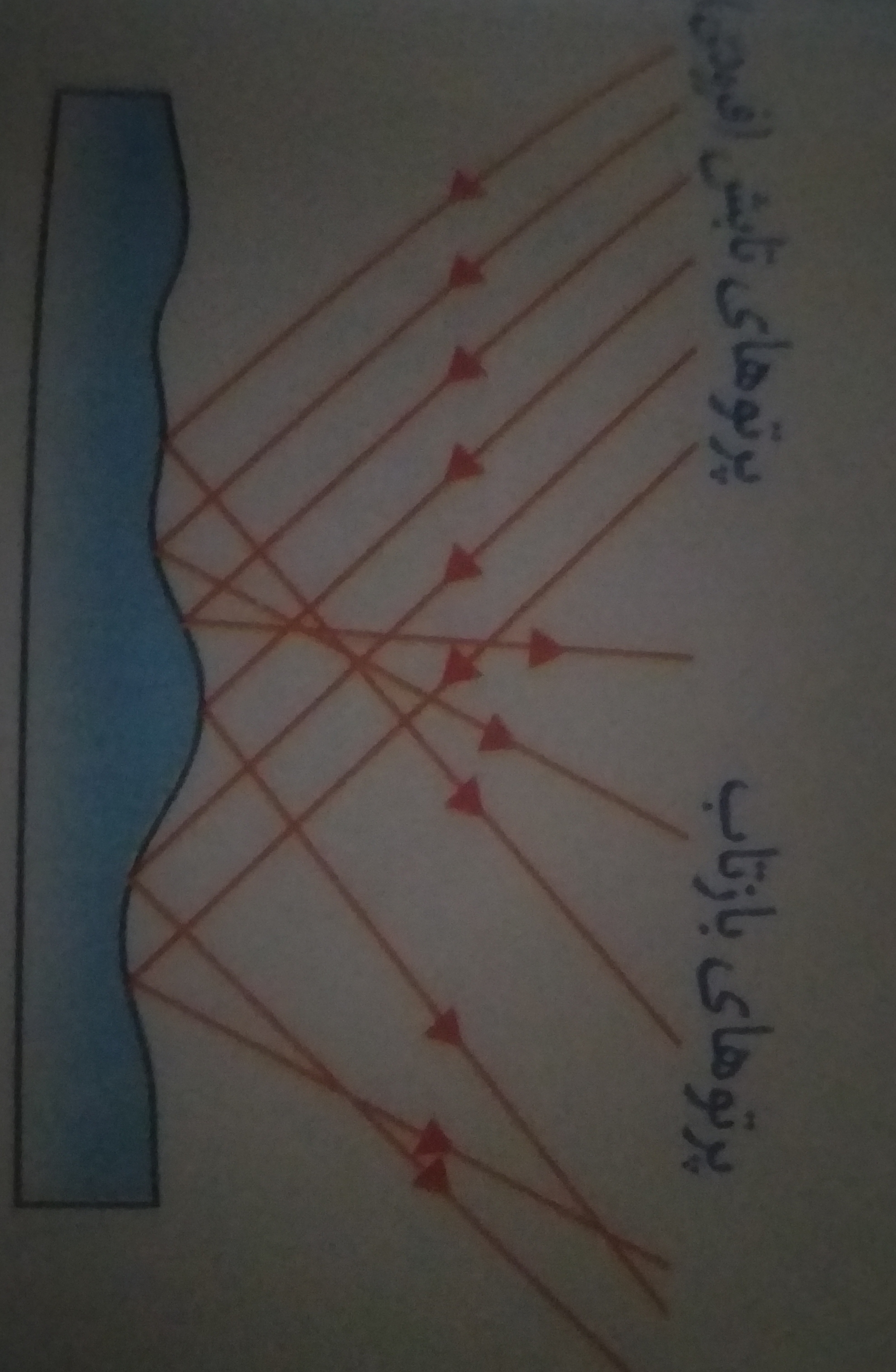 دریافت سوال 8