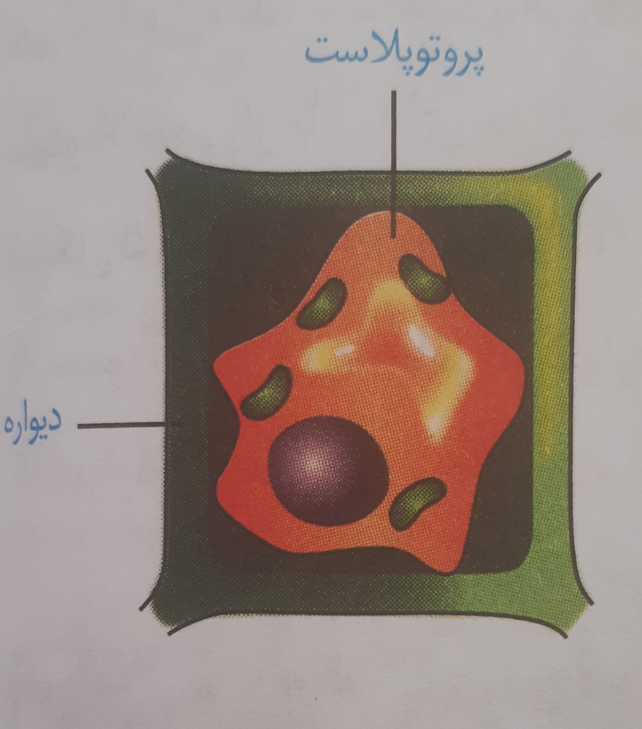 دریافت سوال 14