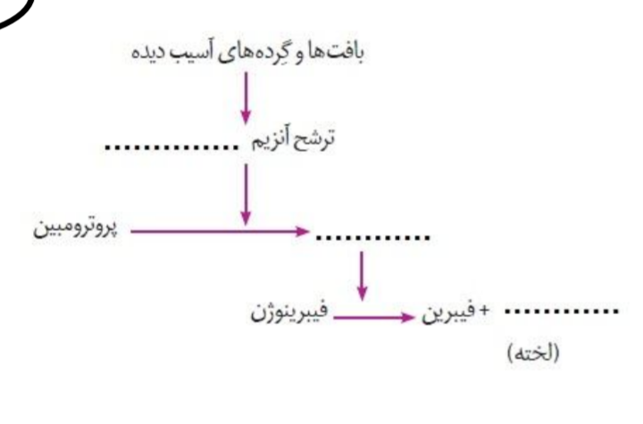 دریافت سوال 4