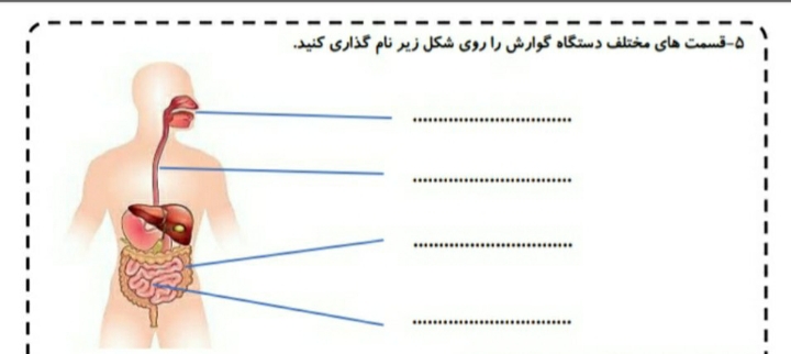 دریافت سوال 14