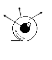 دریافت سوال 8