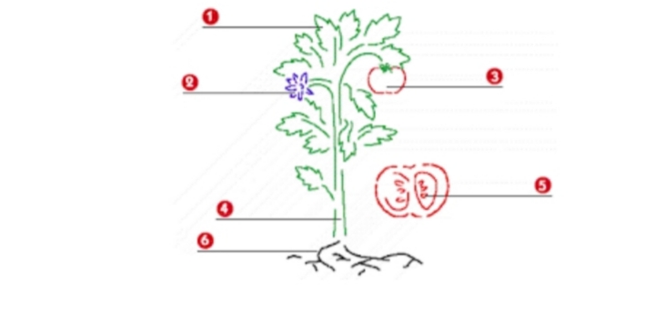 دریافت سوال 13