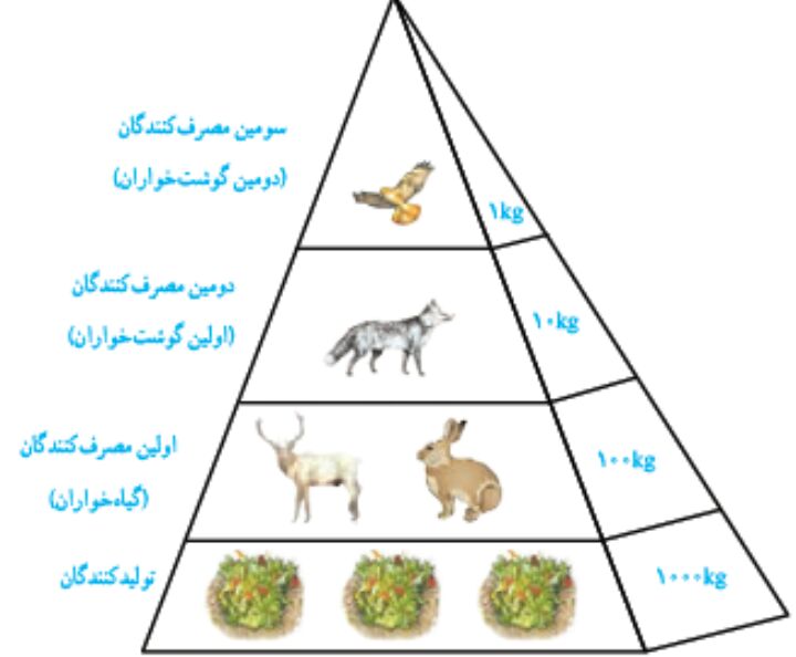 دریافت سوال 1