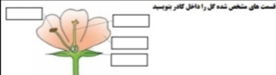 دریافت سوال 9