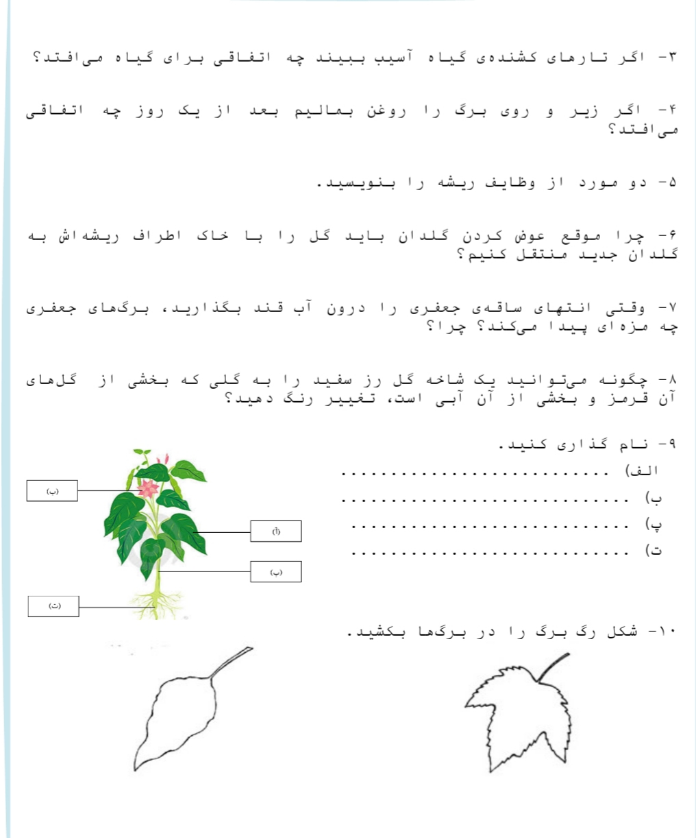 دریافت سوال 2