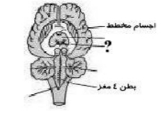 دریافت سوال 9