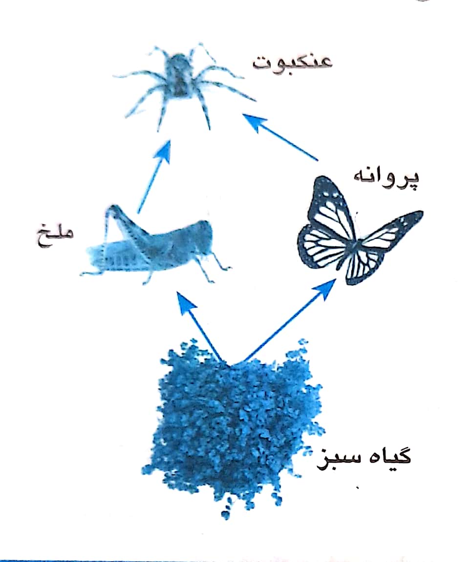 دریافت سوال 16