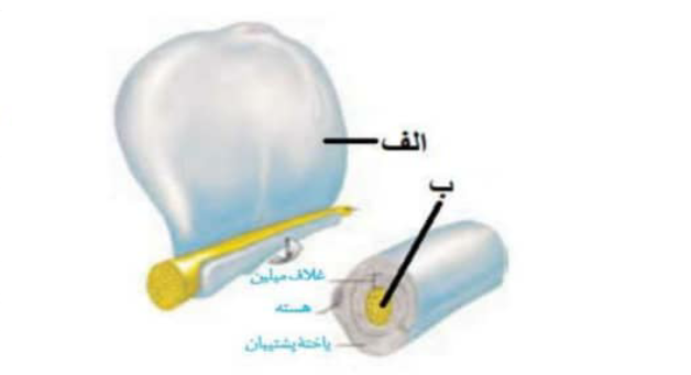 دریافت سوال 4